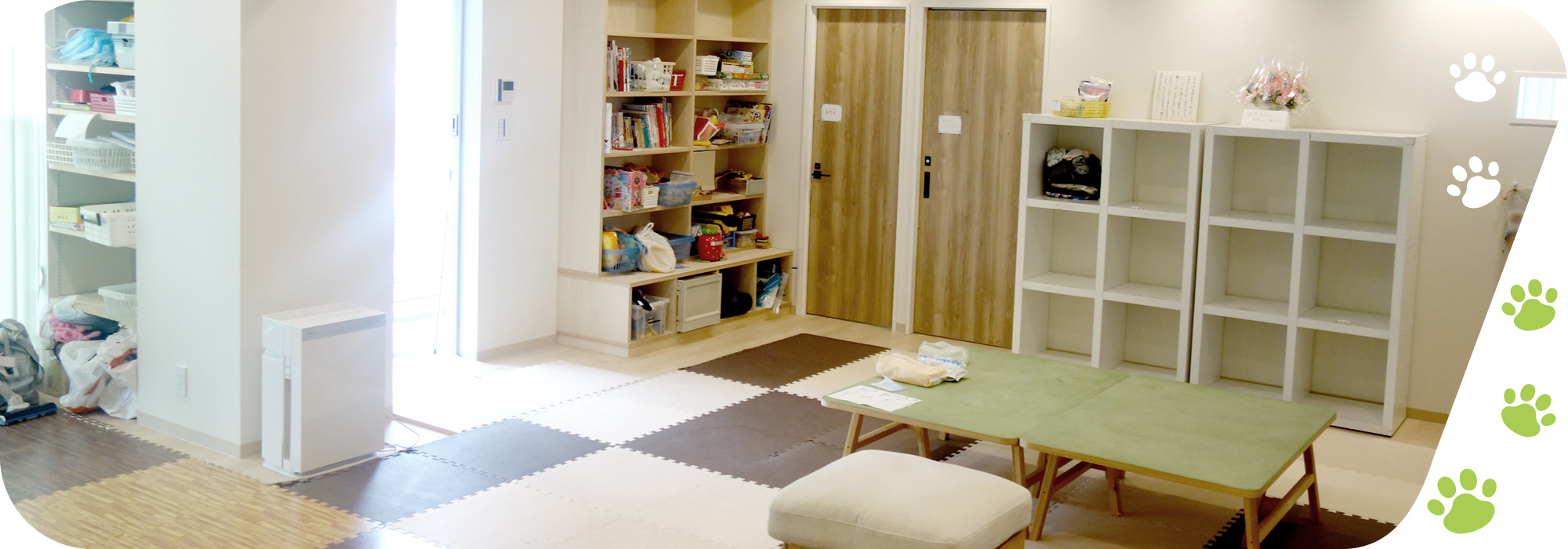 ネコのトランク室内