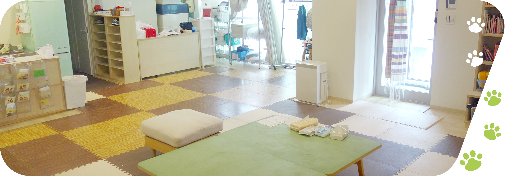 ネコのトランク室内