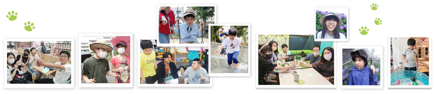 ネコのトランクでの過ごし方